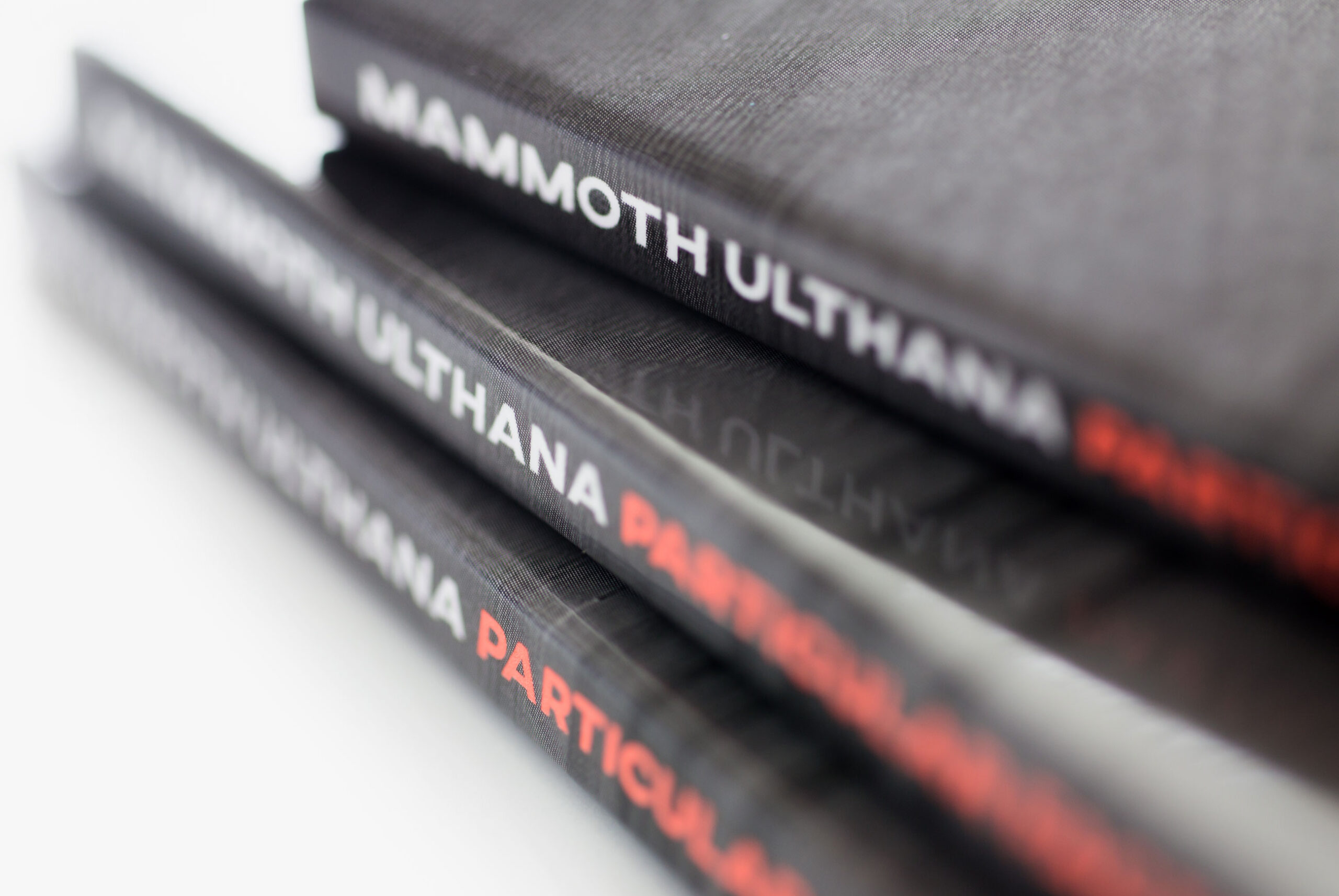 Jacek Doroszenko and Rafał Kołacki - Mammoth Ulthana, Particular Factors, album detail 3